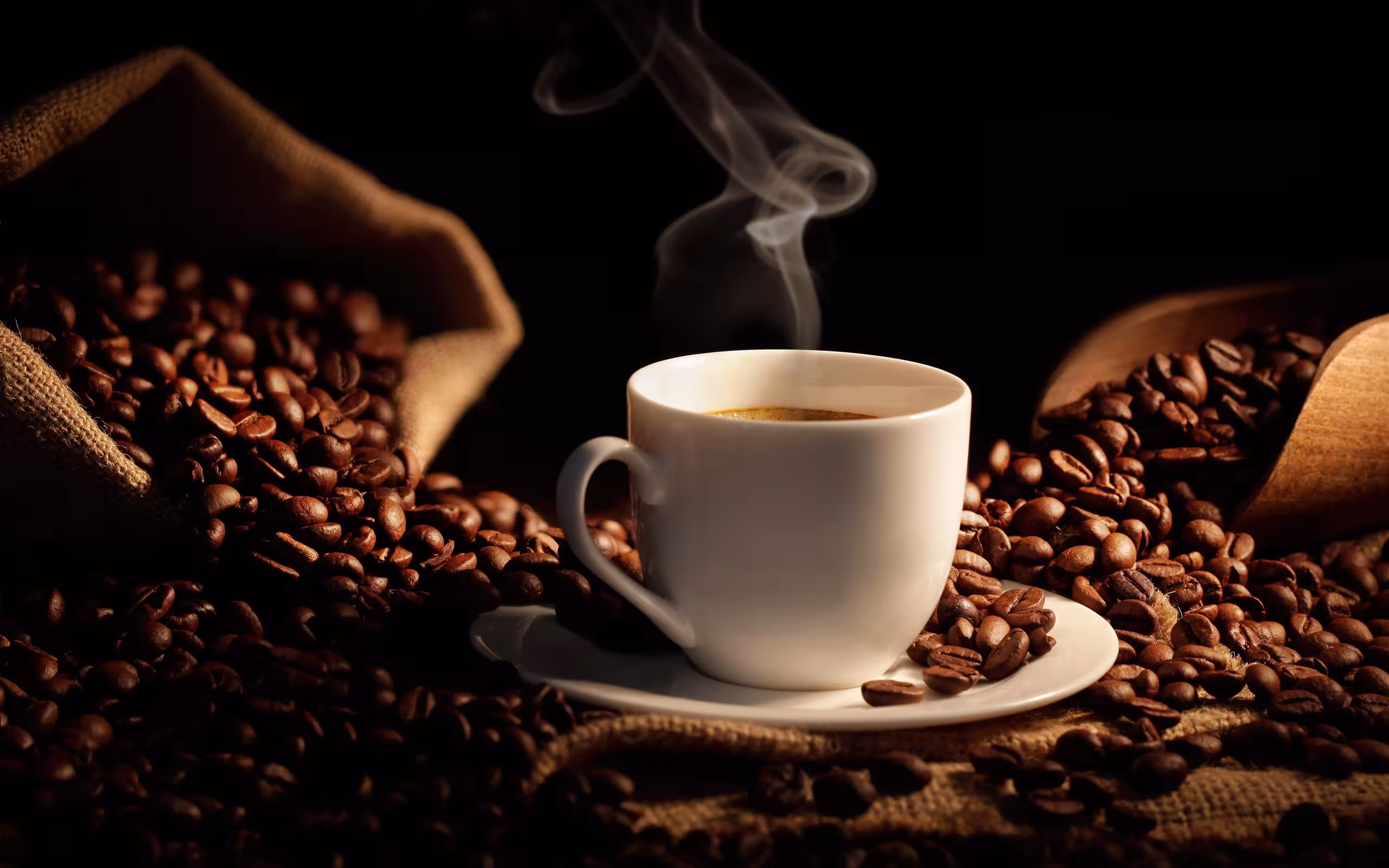 Cafe 1 223693ea.avif
