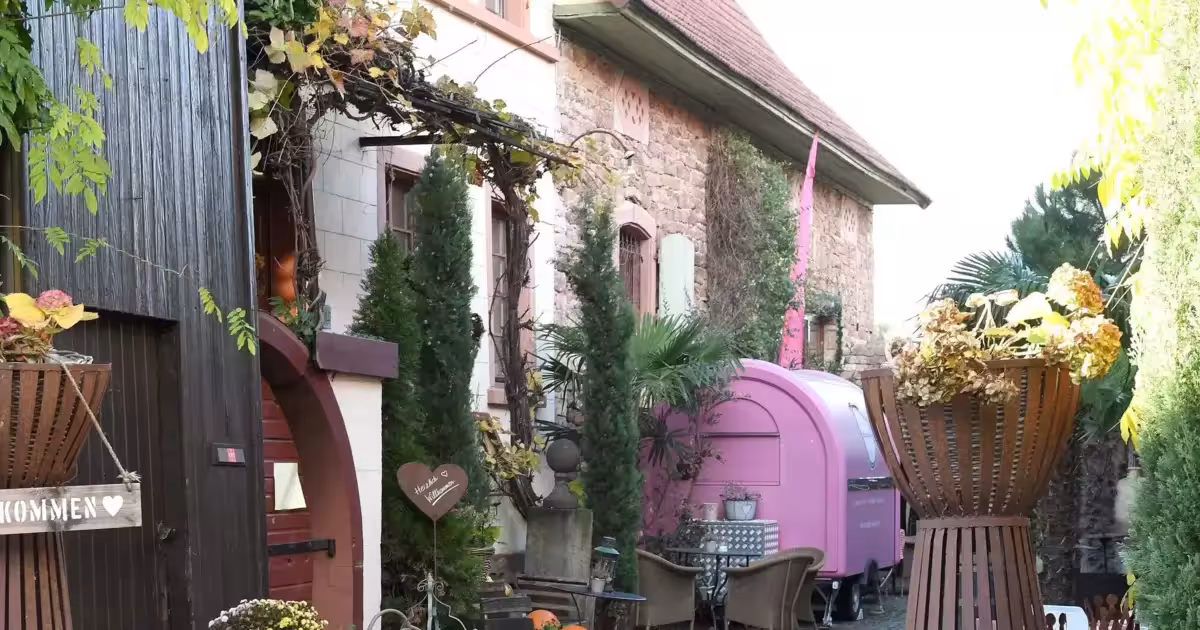 25 Cafe Terbaik Solo 2025 Estetik Nyaman dan Instagramable