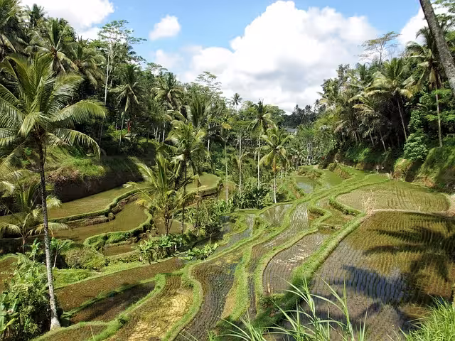 24 Cafe Terbaik Ubud 2025 View Cantik Instagramable  Cocok untuk WFC