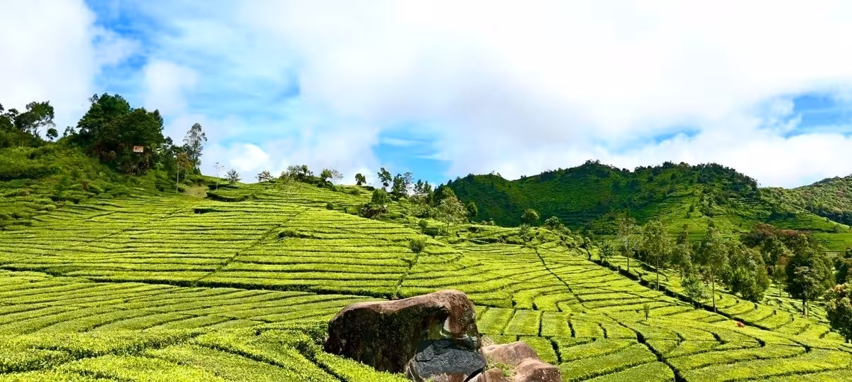 18 Cafe Terbaik di Ciwidey 2025 View Alam Memukau Nyaman dan Instagramable