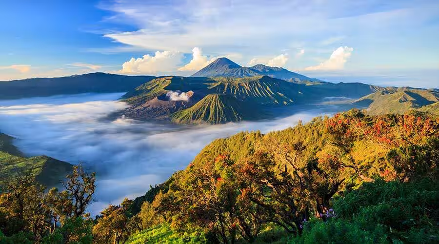 Restoran Kafe Terbaik Kintamani 2025 View Gunung Batur Menakjubkan