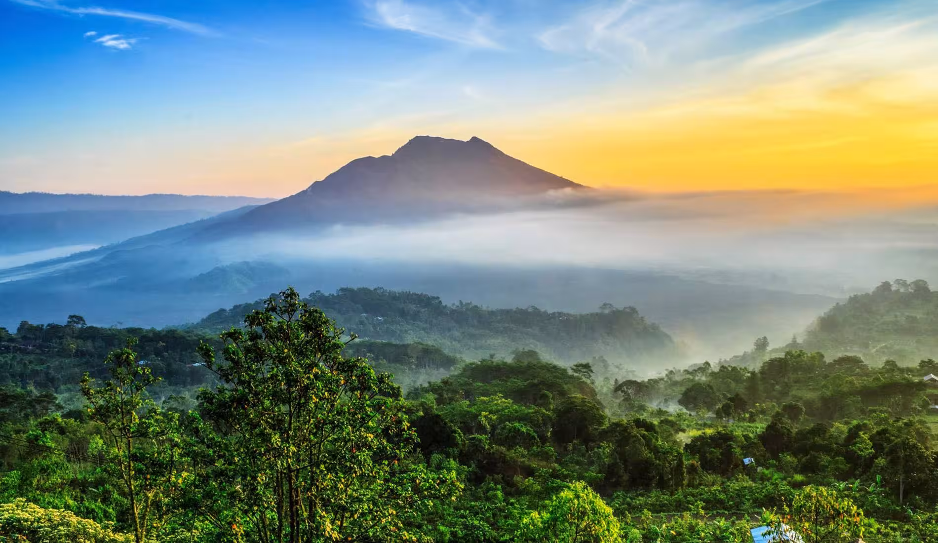 Kintamani featured 8b1268be.avif
