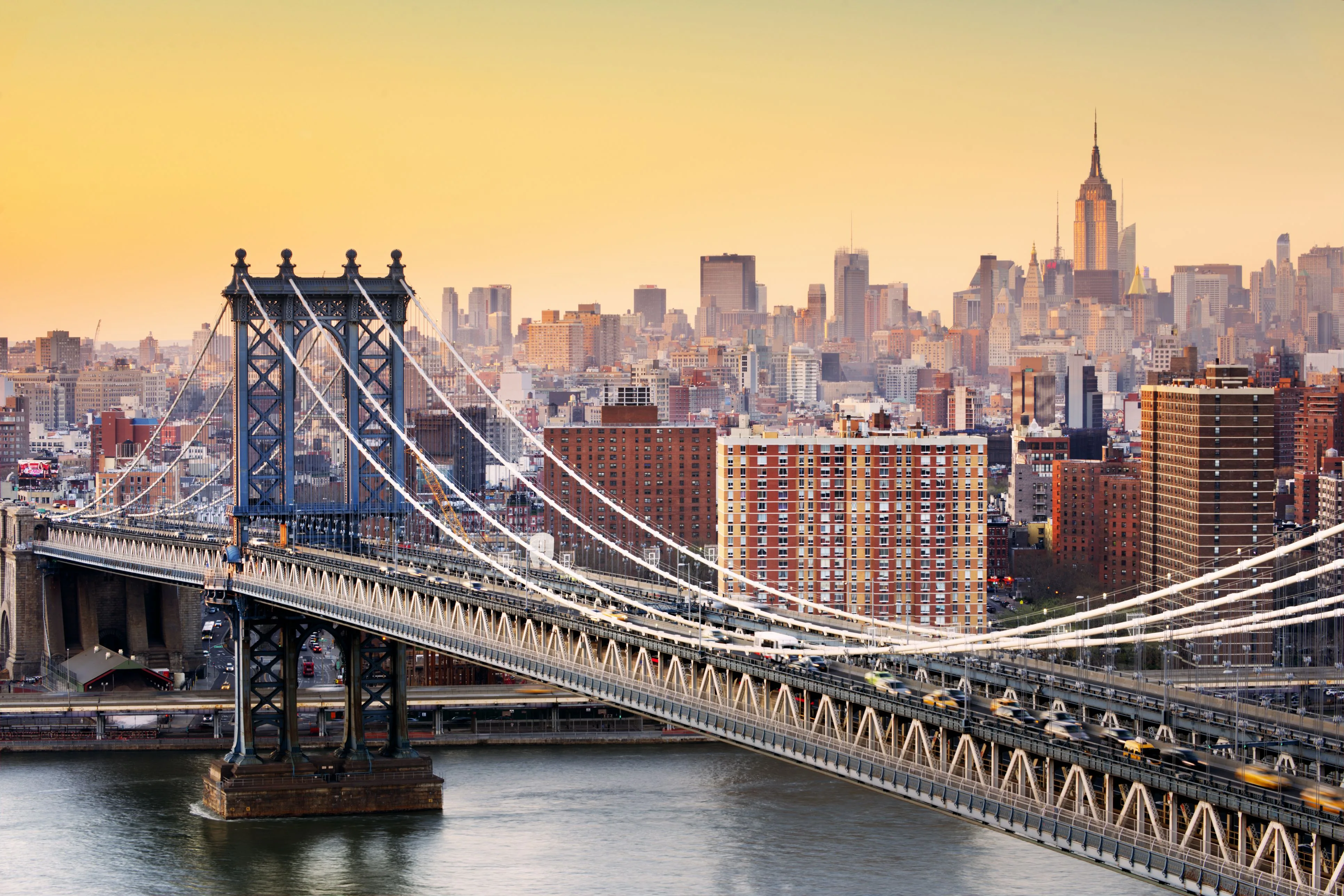 20 Cafe Terbaik di New York 2025 Panduan Lengkap untuk Pecinta Kopi  Kuliner