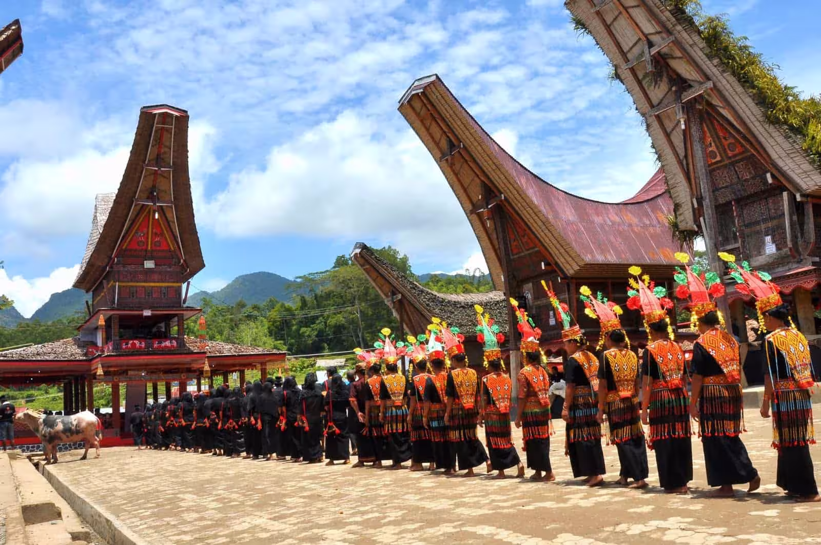 Toraja featured bb691f3b.avif