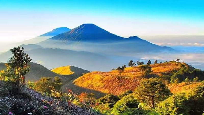 Wonosobo featured d8f0dd5b.avif